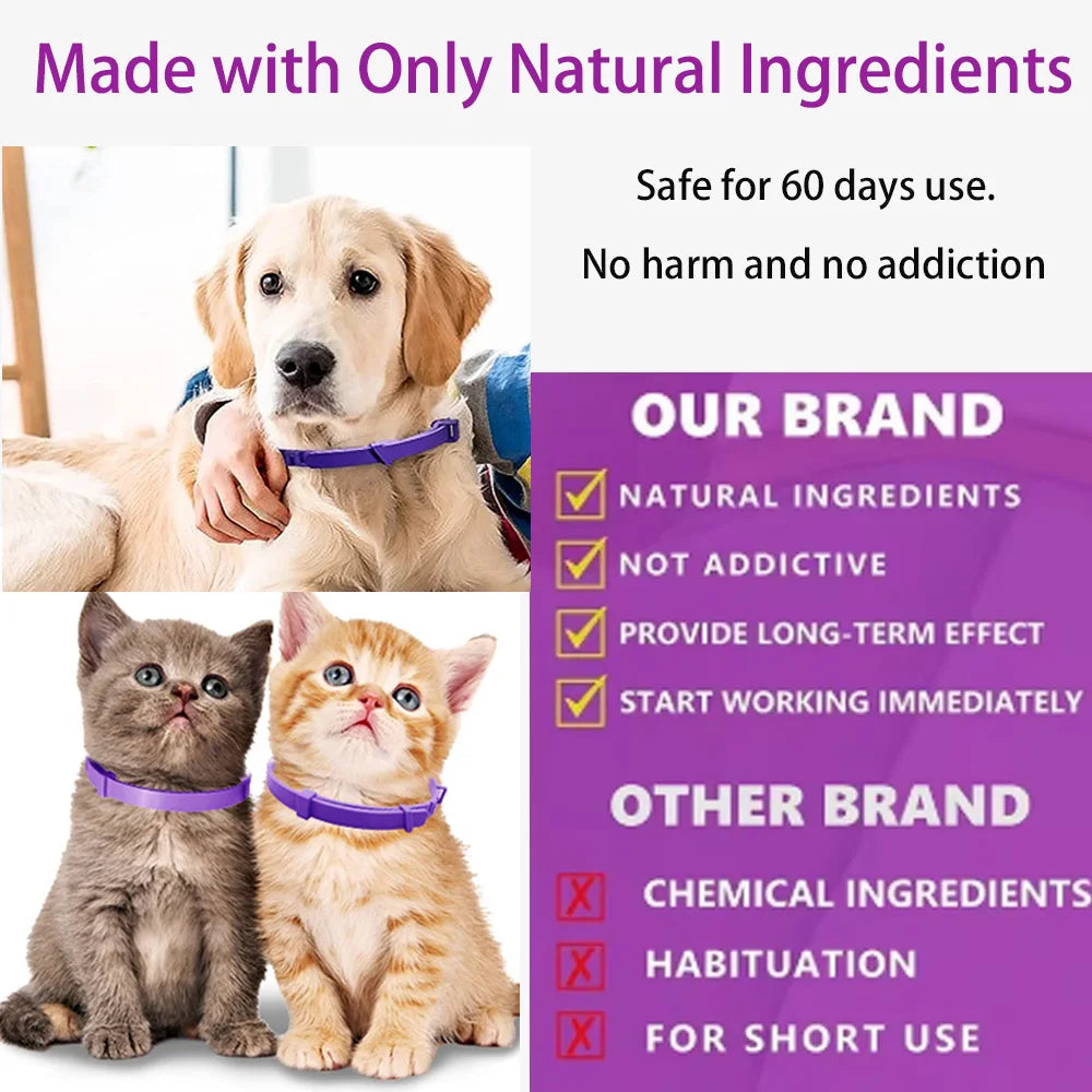 Your Pet’s Calm 🐾 – Anxiety-Relief Collar 😺🐶