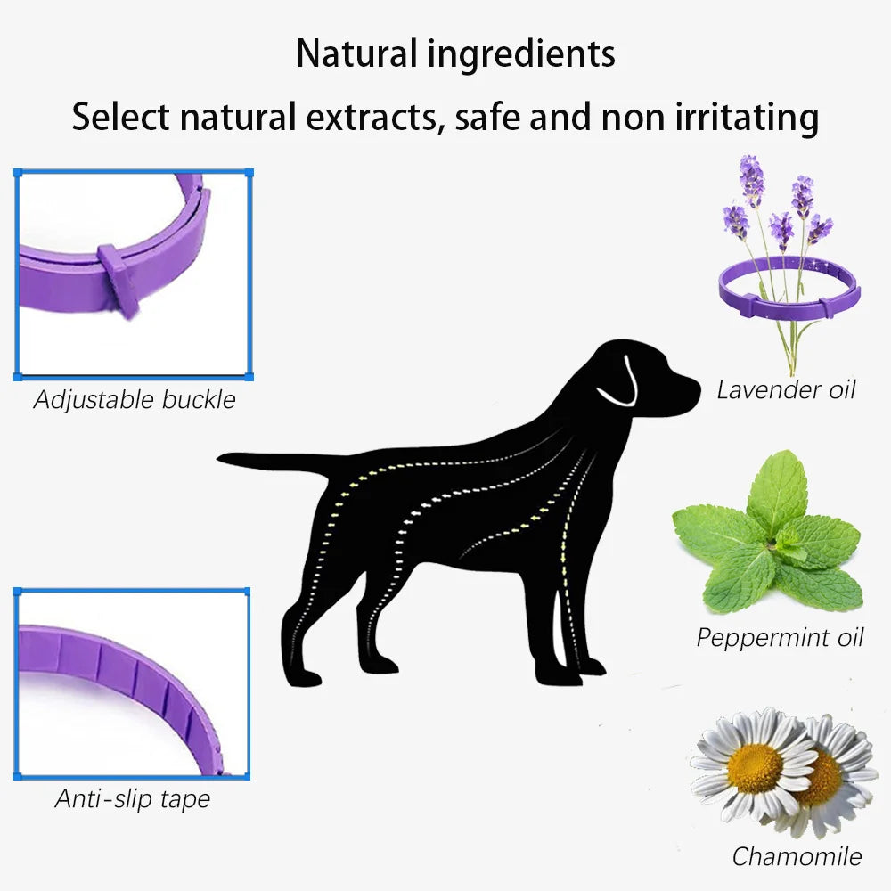 Your Pet’s Calm 🐾 – Anxiety-Relief Collar 😺🐶