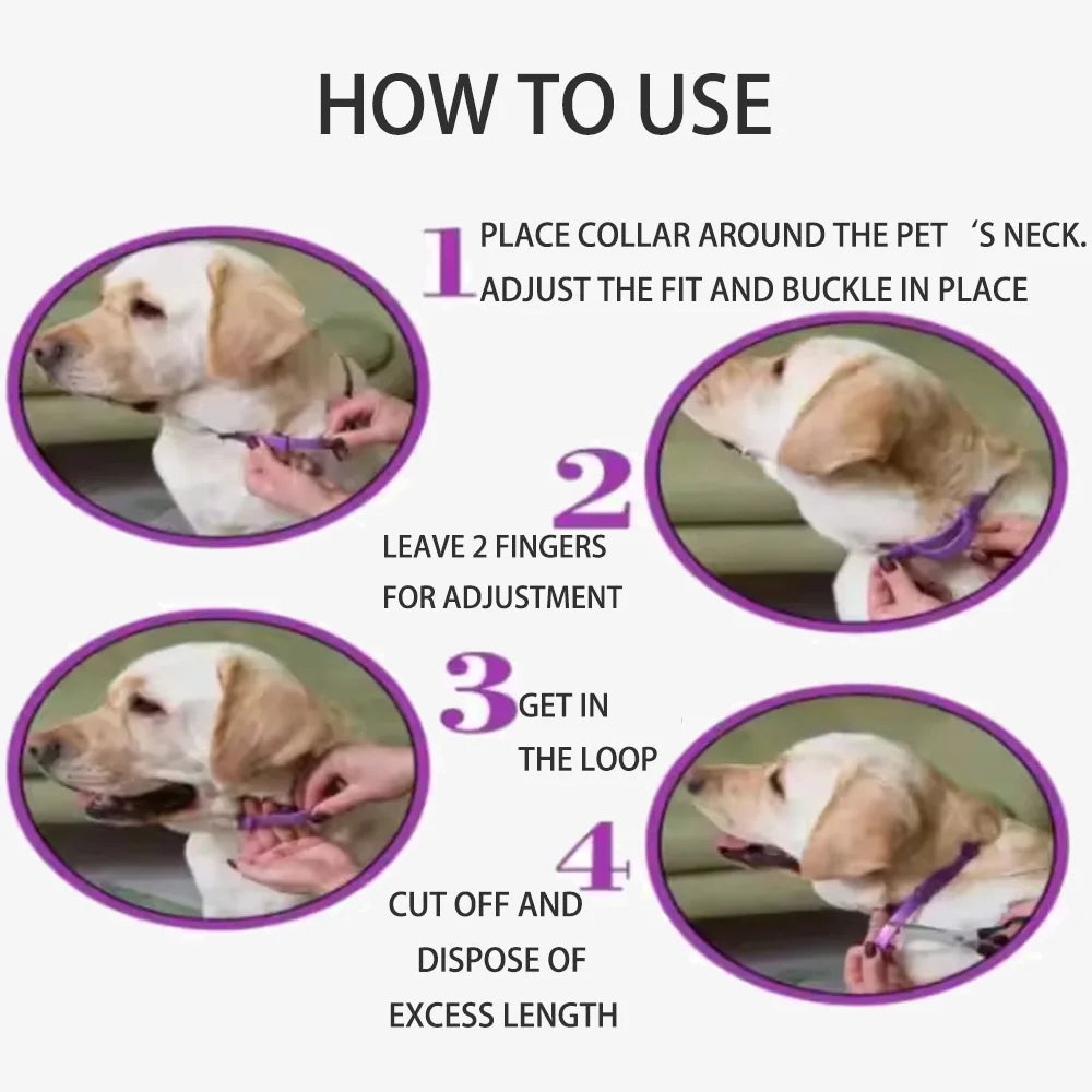 Your Pet’s Calm 🐾 – Anxiety-Relief Collar 😺🐶