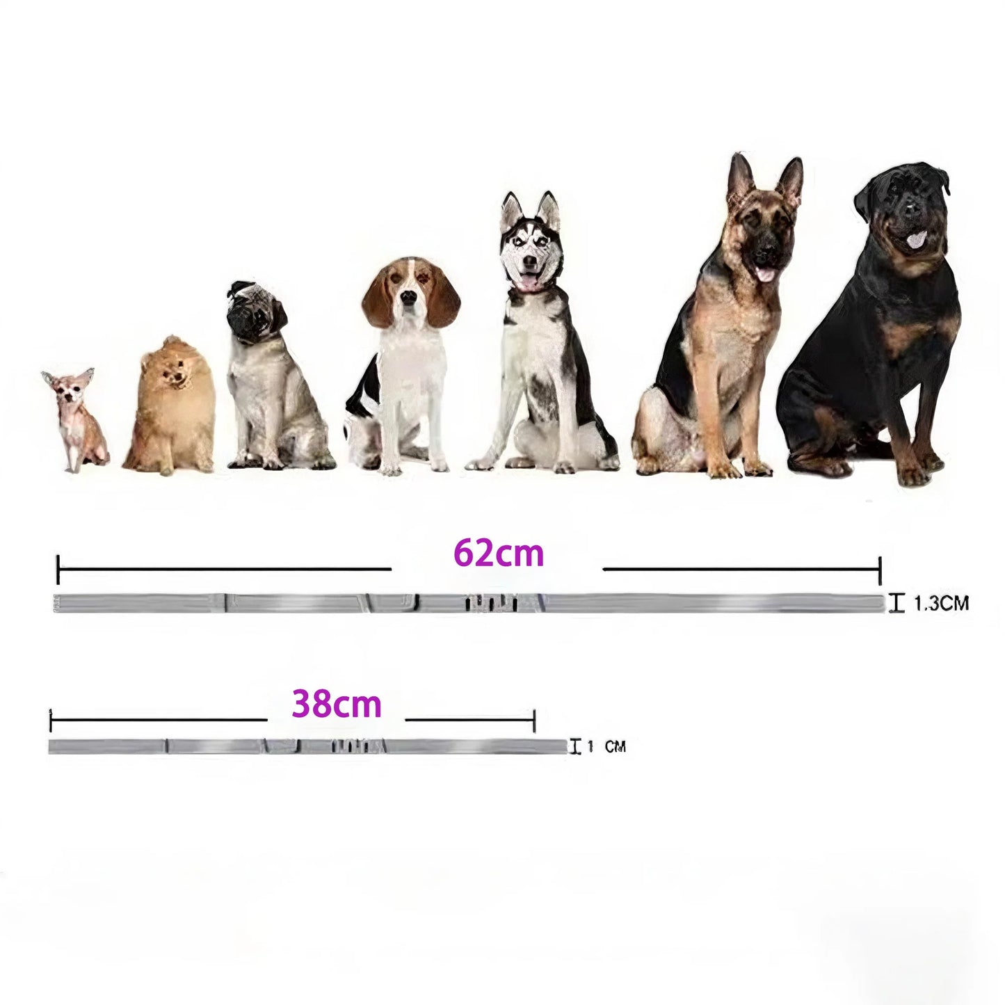 Your Pet’s Calm 🐾 – Anxiety-Relief Collar 😺🐶