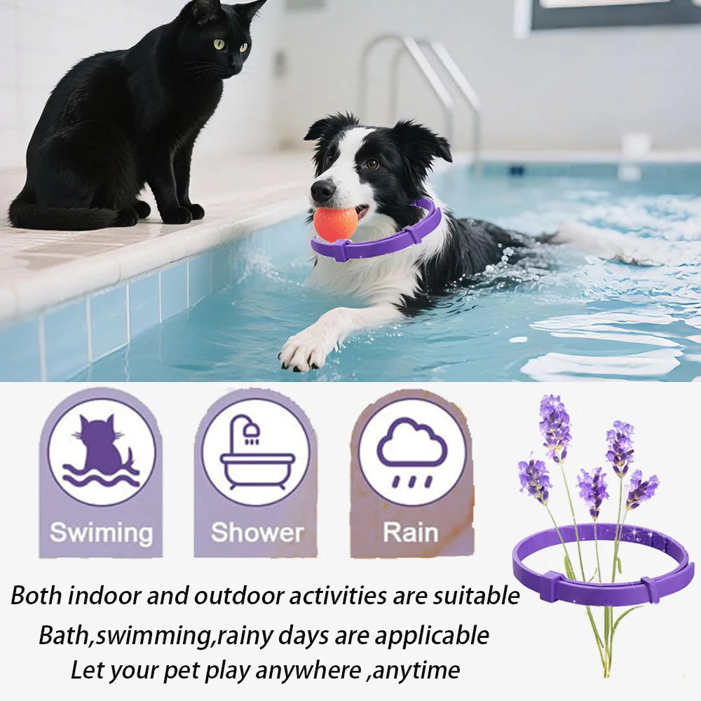 Your Pet’s Calm 🐾 – Anxiety-Relief Collar 😺🐶